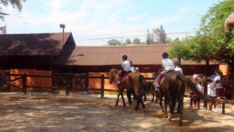 Fazendinha Estação Natureza