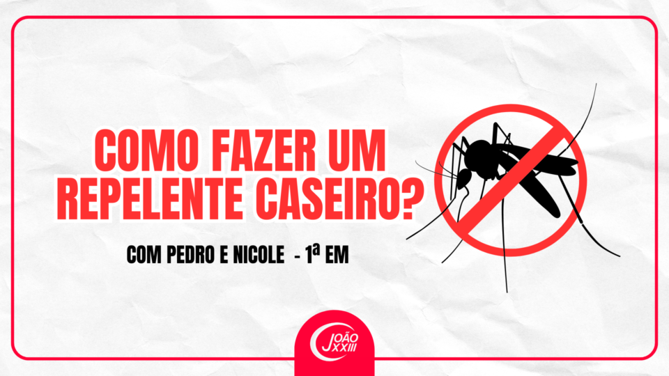 Read more about the article Como fazer um repelente caseiro?