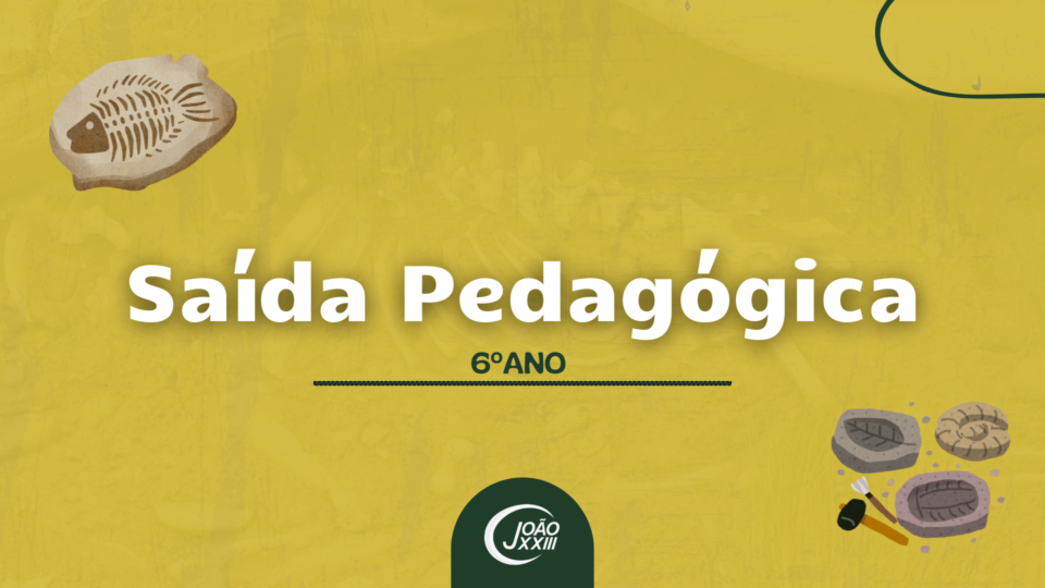 Read more about the article Saída Pedagógica – 6º ano